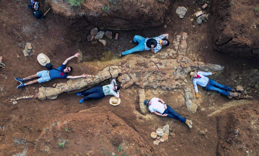 Elasmosaurus - new discovery!